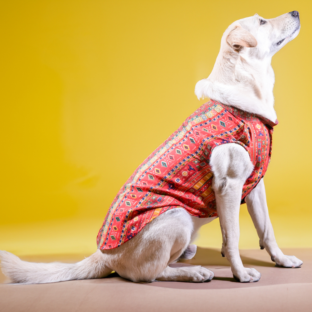 Dog Festive Wear: Buy Indian Outfit for Dogs Online in India