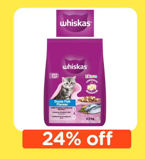 Dog Treats frame_1707496267.webp__PID:65cd7080-aa7c-47a3-b293-35ebec4178f0