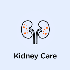 kidney.png__PID:ae585168-2585-4948-a9d4-51e74bdbff05