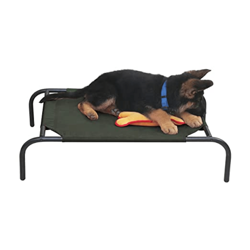 Buy Pet Beds & Accessories Online