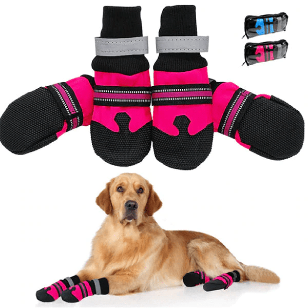 Buy Dog Boots Online at Best Price in India