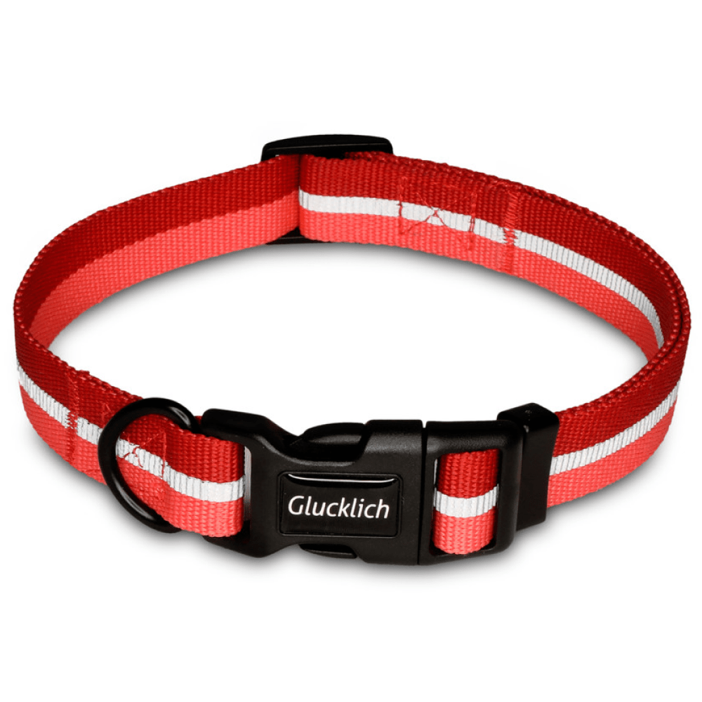 Dog Collars: Buy Dog Neck Belts at Best Price in India