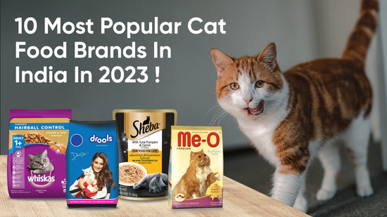 10 Popular Cat Food Brands in India in 2023