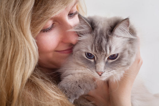 A Cat's Love: Understanding Cat Affection