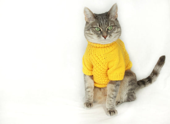 Cat Clothes for Different Breeds and Sizes