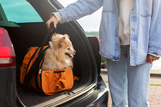 Dog Bedding for Comfy Travel Plans