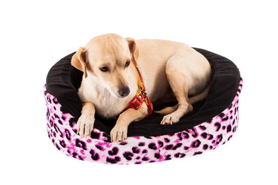 The 3 Benefits of Dog Puzzle Toys