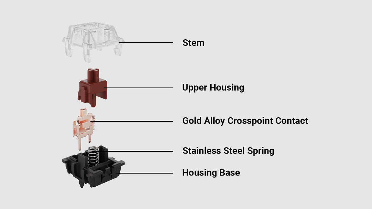Inside Gateron KS-8 Mechanical Brown Switch