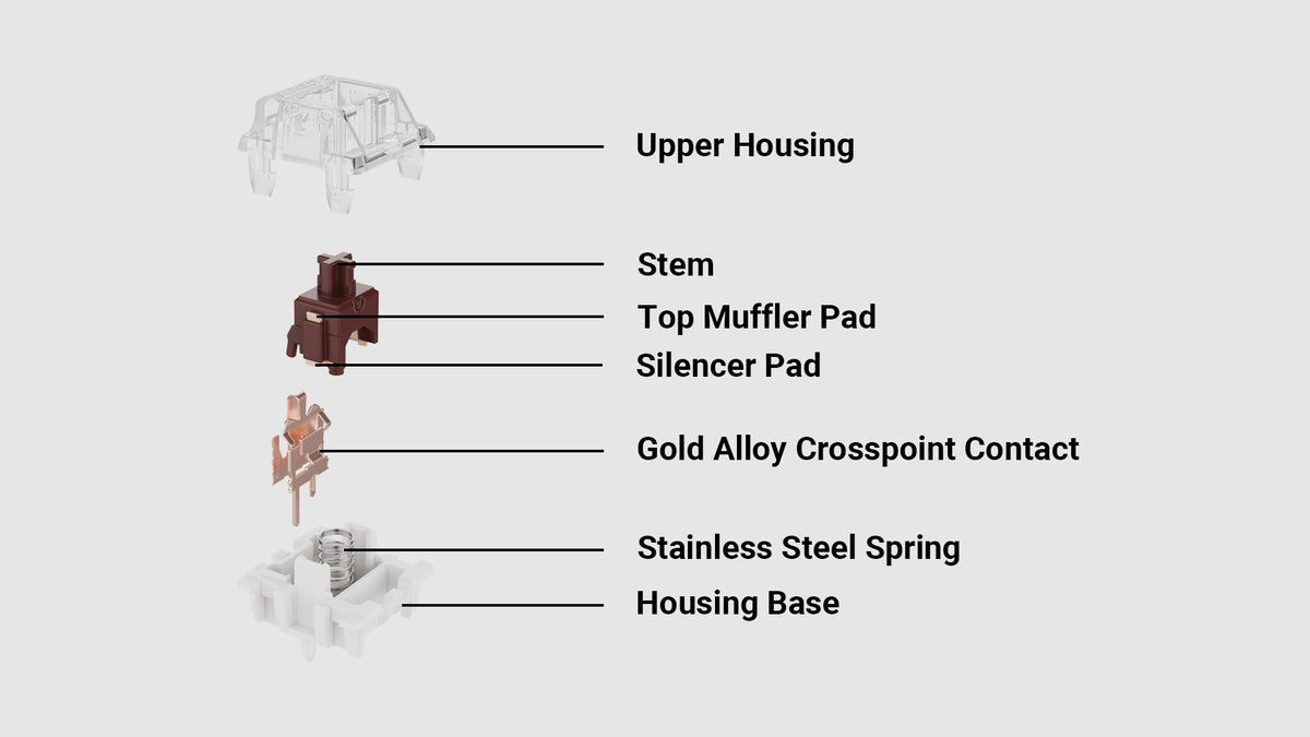 Inside Different Gateron Silent Brown Switch