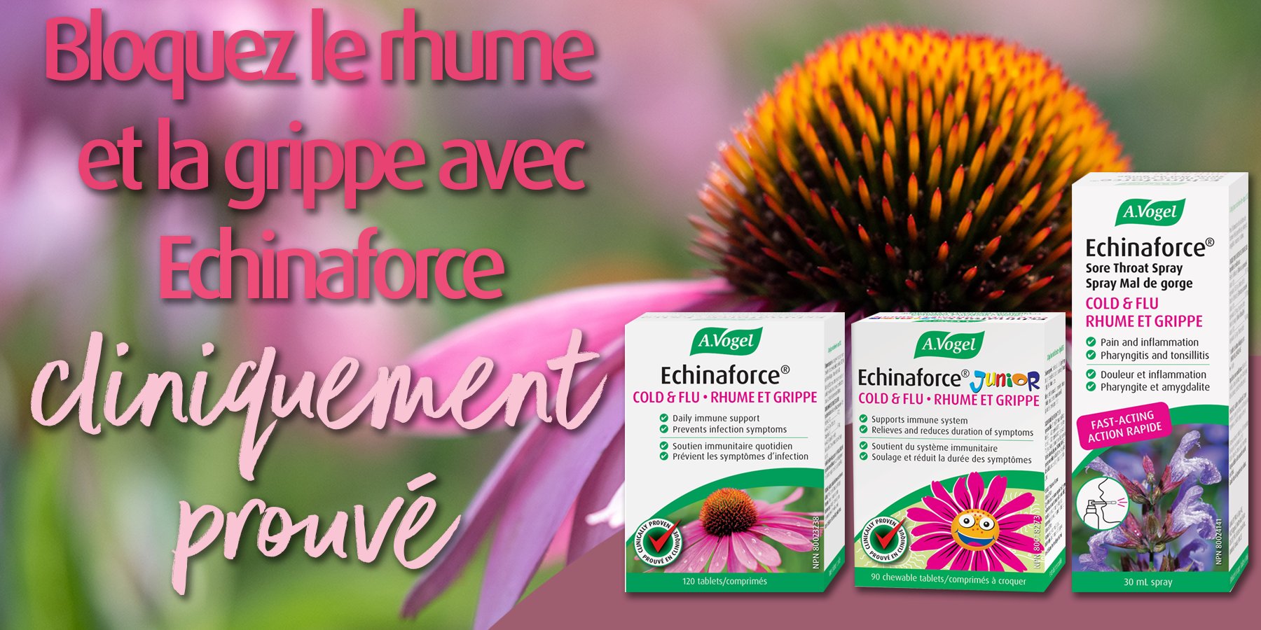 A.VOGEL Herbamare Original – Mélange de sel marin, légumes et herbes  fraiches - Assaisonnement sain, bio & vegan – Actifs végétaux – Exhausteur  de goût, savoureux & fabriqué en France - 250 g : : Epicerie