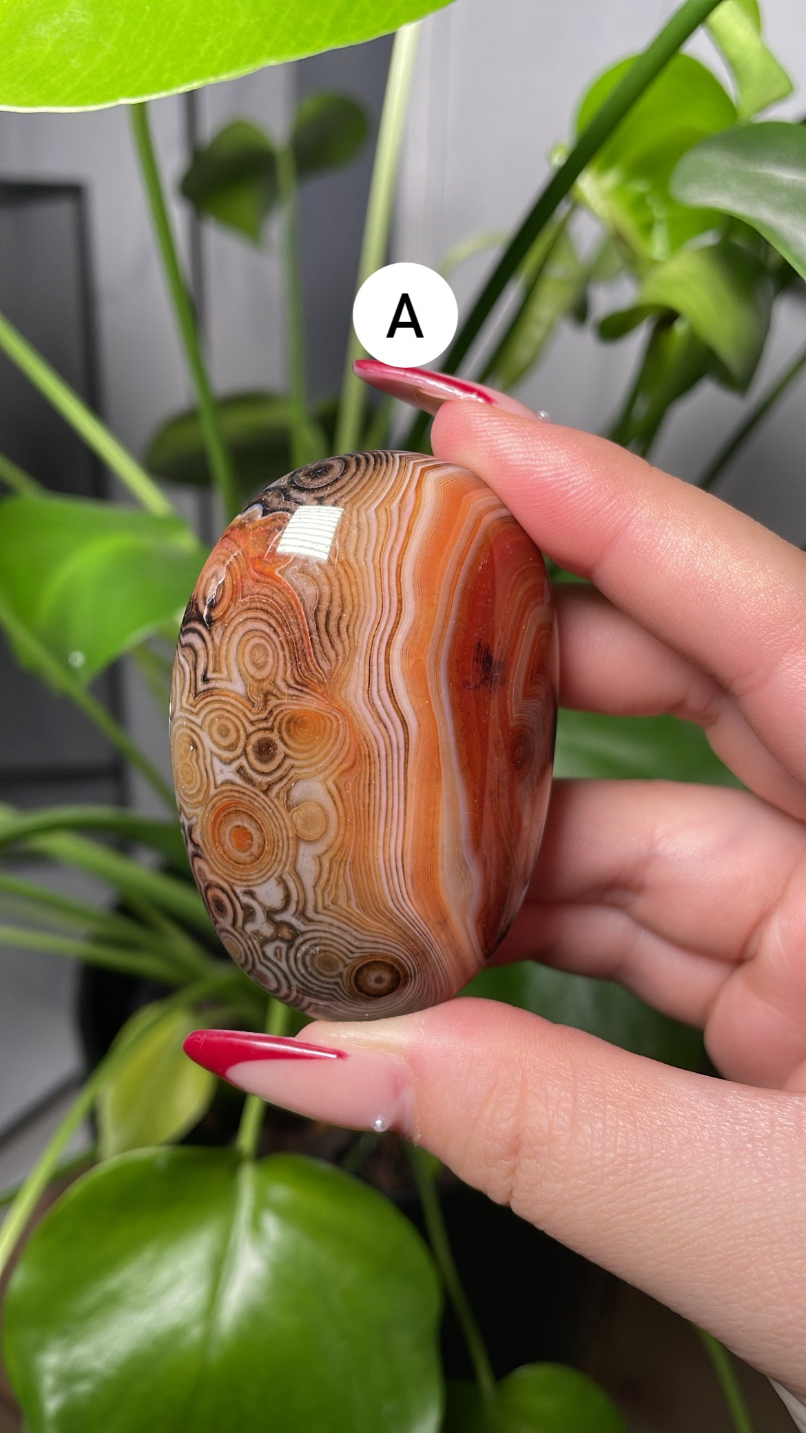 Sardonyx Palmstones