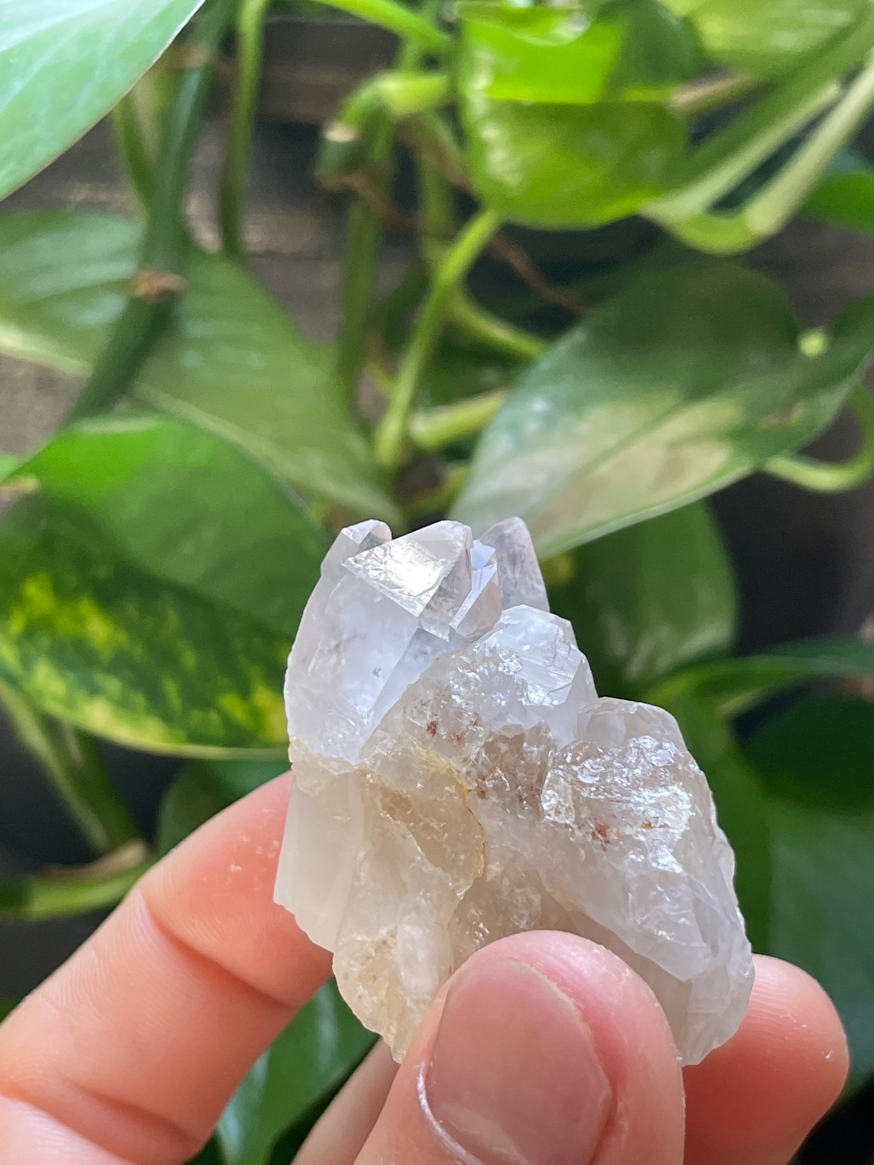 Amethyst Cluster