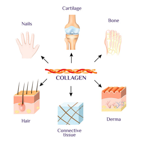Collagen benefitting areas