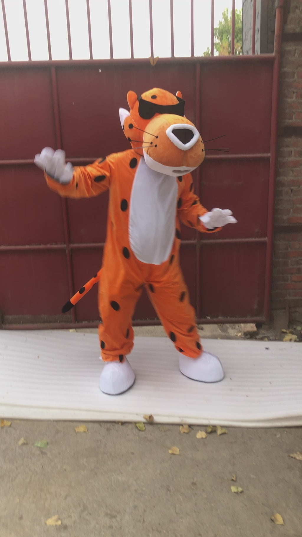 cheetos cat costume