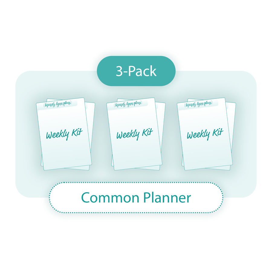MLP Subscription Box (Common Planner) – Mandy Lynn Plans