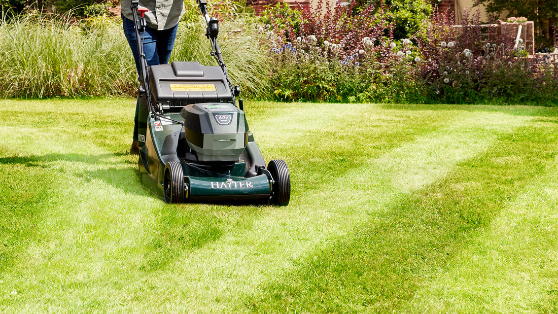Image of Large roller lawn mower