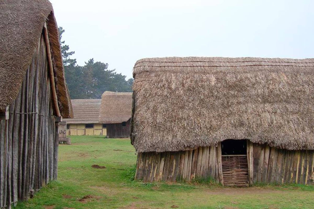 Saxon thatched roof