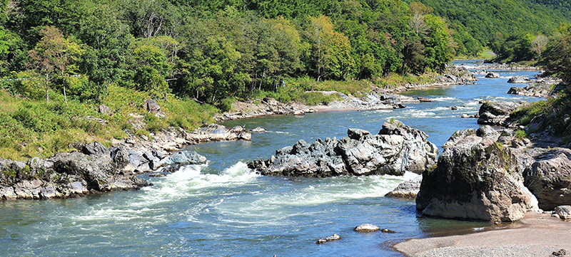 point4 北海道の石狩川の清流にて開発
