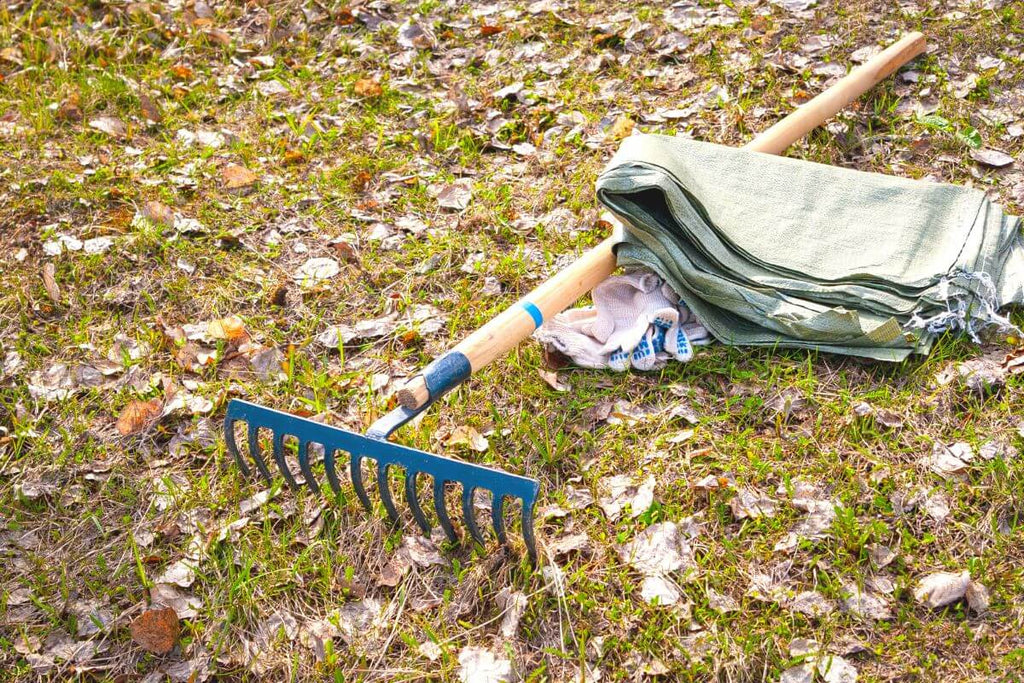 Rake for keeping your garden beautiful