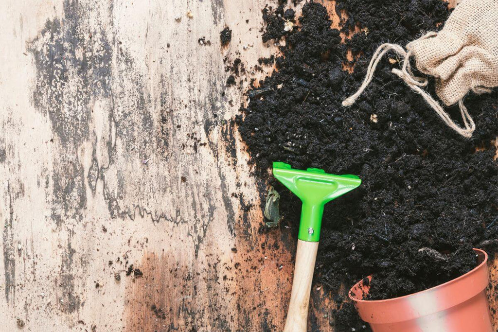 Small. green garden rake