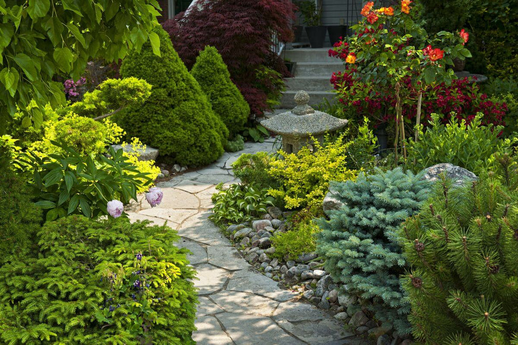 Stepping Stone Path in the garden