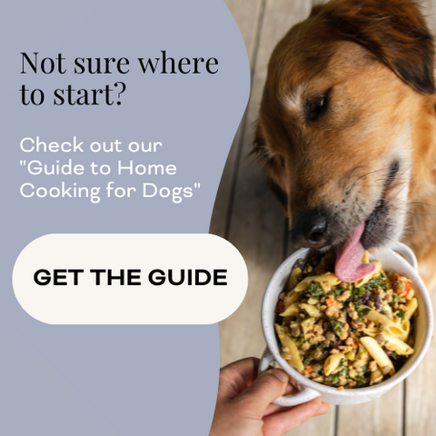 Opal pets guide to home cooking for dogs