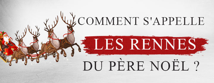 comment s appelle les rennes du pere noel noel de teemo