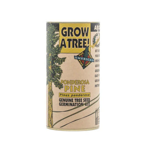 Ponderosa Pine | Seed Grow Kit - The Stash & Co.