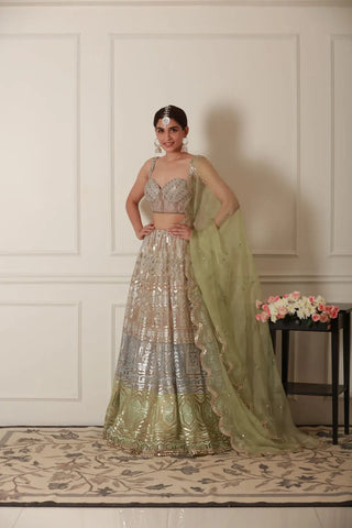 Panelled Lehenga Choli