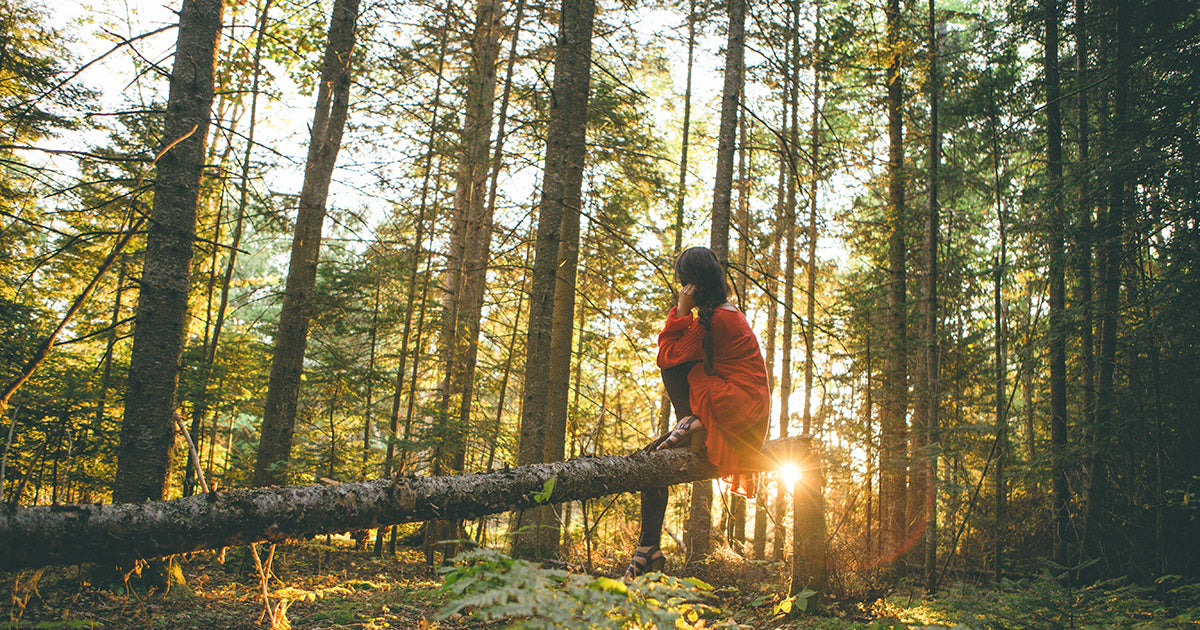The Benefits of Enjoying the Great Outdoors When Pursuing an Online Degree