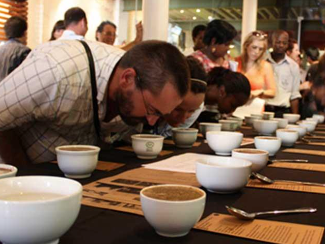 Cupping Veranstaltung