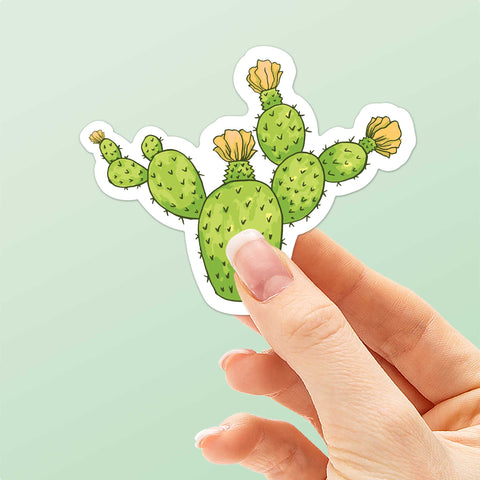 Celestial stickers pack, cute cactus sticker (1556468)