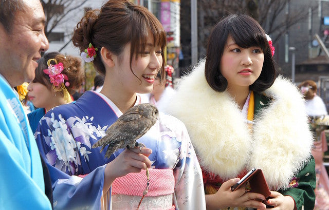 Tokyo Coming of Age Day Furisode