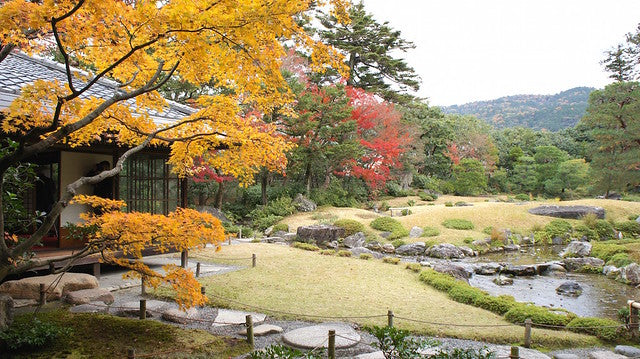 Kyoto Autumn Kimono