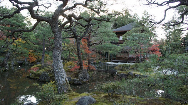 Kyoto Autumn Kimono