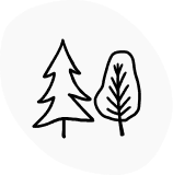 Two simple, outlined tree drawings on a white background.