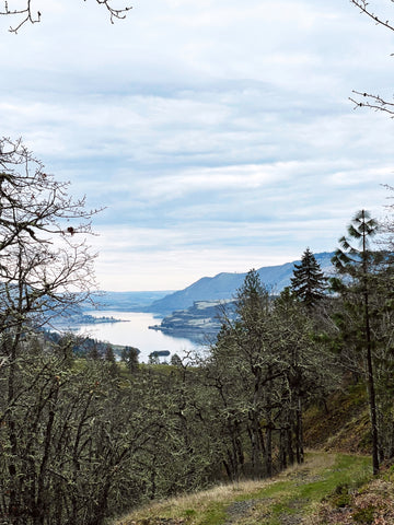 View of The Columbia River gorge from Catherine Creek