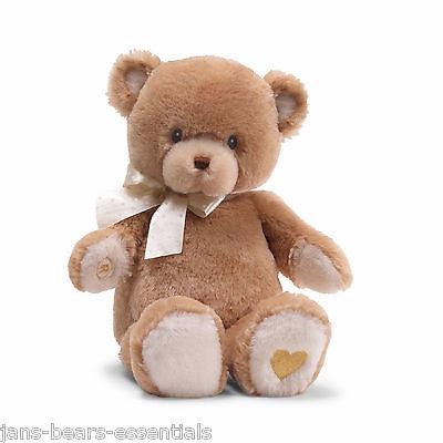 recordable teddy bear