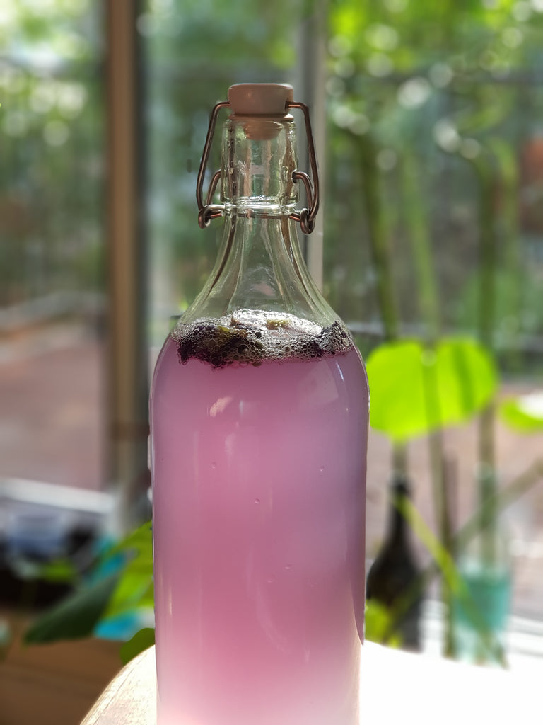 bottle of flavoured probiotic water kefir 