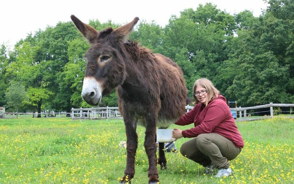 donkey female milk