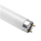 Standard Linear Fluorescent and LED Tube