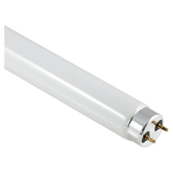 t8 4ft fluorescent bulbs