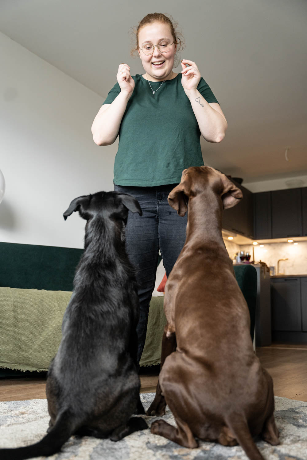 This article provides a realistic insight into the basics of dog training and the 5 best commands for every dog. This picture shows the command 'Sit' with hand signals.