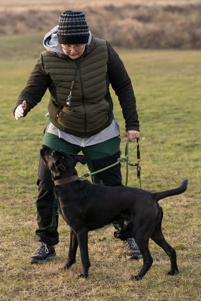 This picture is part of the blog article 'With 7 tips for the ideal leash walk for your dog and you'. It shows a dog who is currently being corrected in terms of body language.