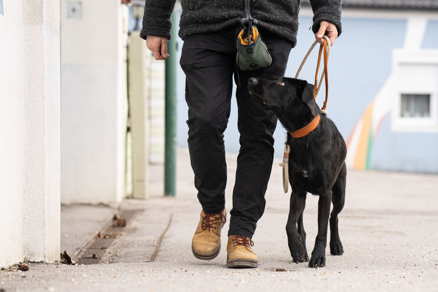 Dieses Bild ist Teil vom Blogartikel 'Mit 7 Tipps zur idealen Leinenführigkeit für deinen Hund und dich'. Es zeigt einen Hund, welcher entspannt an der Leine geht.