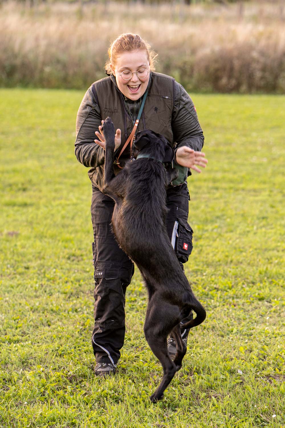 With double recall, as the name suggests, your dog has two signals to be called back. The first command is a reorientation signal or anchor signal and the second is the recall signal. This picture shows a dog being happily praised by his owner.