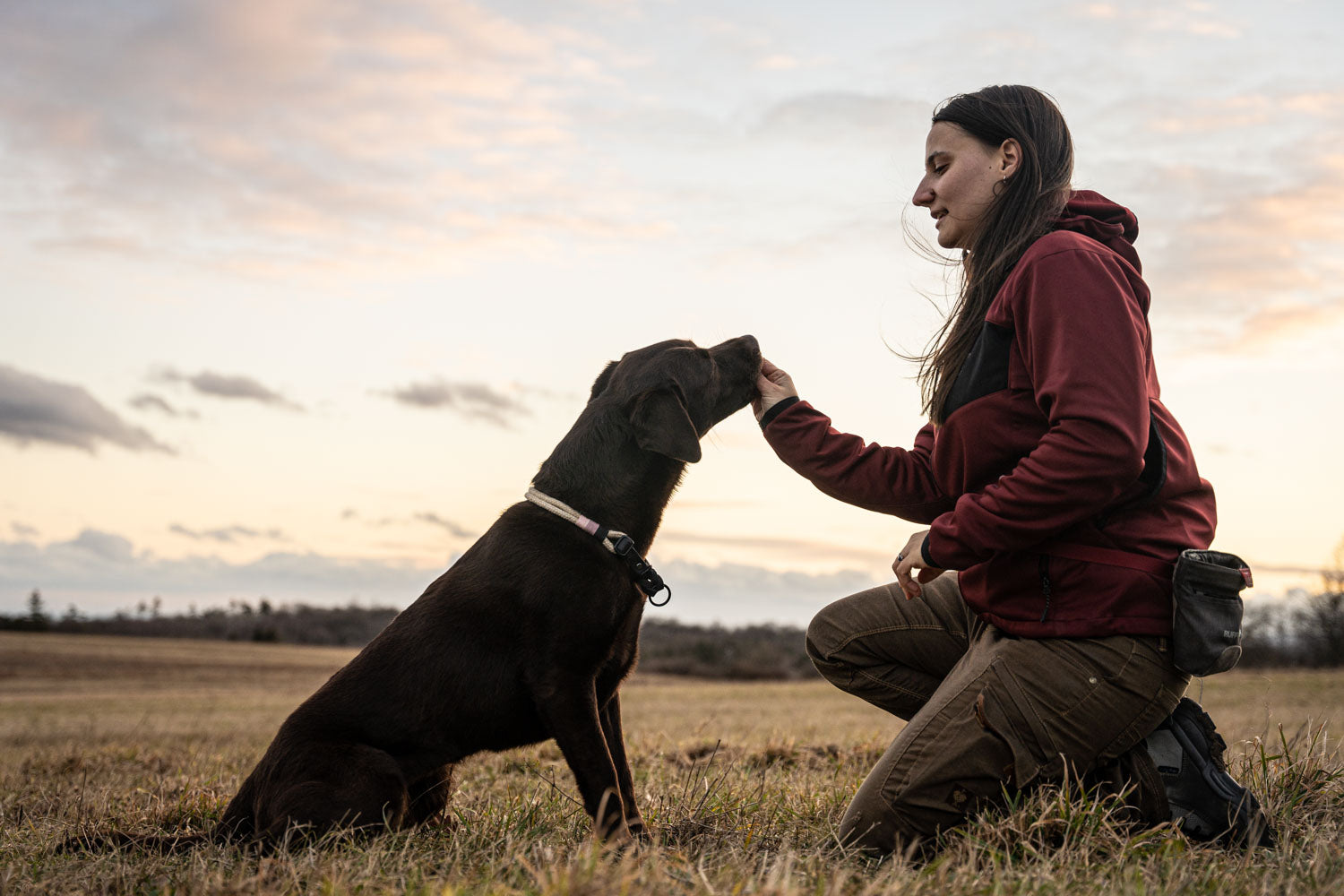 Beim doppelten Rückruf hat dein Hund, wie der Name sagt, zwei Signale um zurückgerufen zu werden. Das erste Kommando ist ein Umorientierungssignal oder Ankersignal und das Zweite das Rückrufsignal. Dieses Bild zeigt einen Hundebesitzer, welcher gerade seinen Hund lobt.