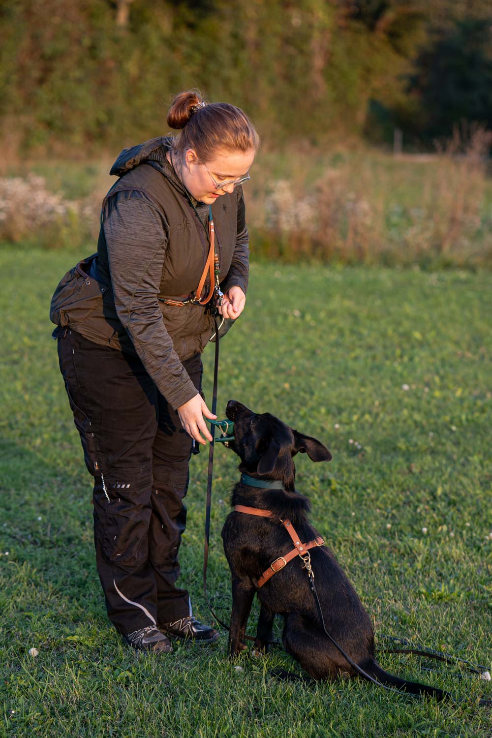 In this picture you can see a Labrador mix doing dummy training. He practices correct dummy work with a 250g dummy from Romneys.