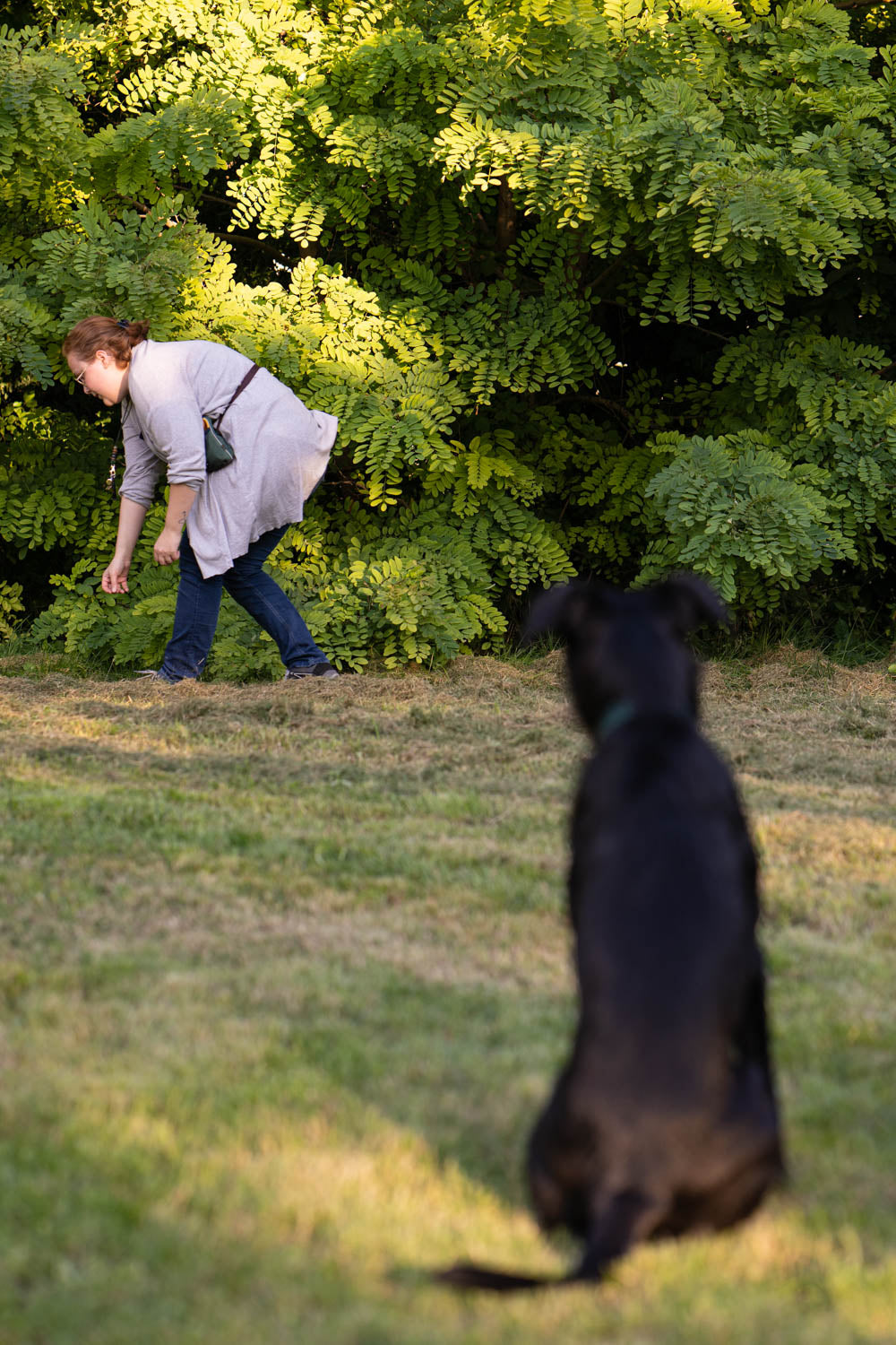 This week's second part of the series 'Dummy training for beginners' is about the classic tasks in dummy training, such as instructing, marking and searching for lost items. Some creative ideas for daily dummy training are also a must.