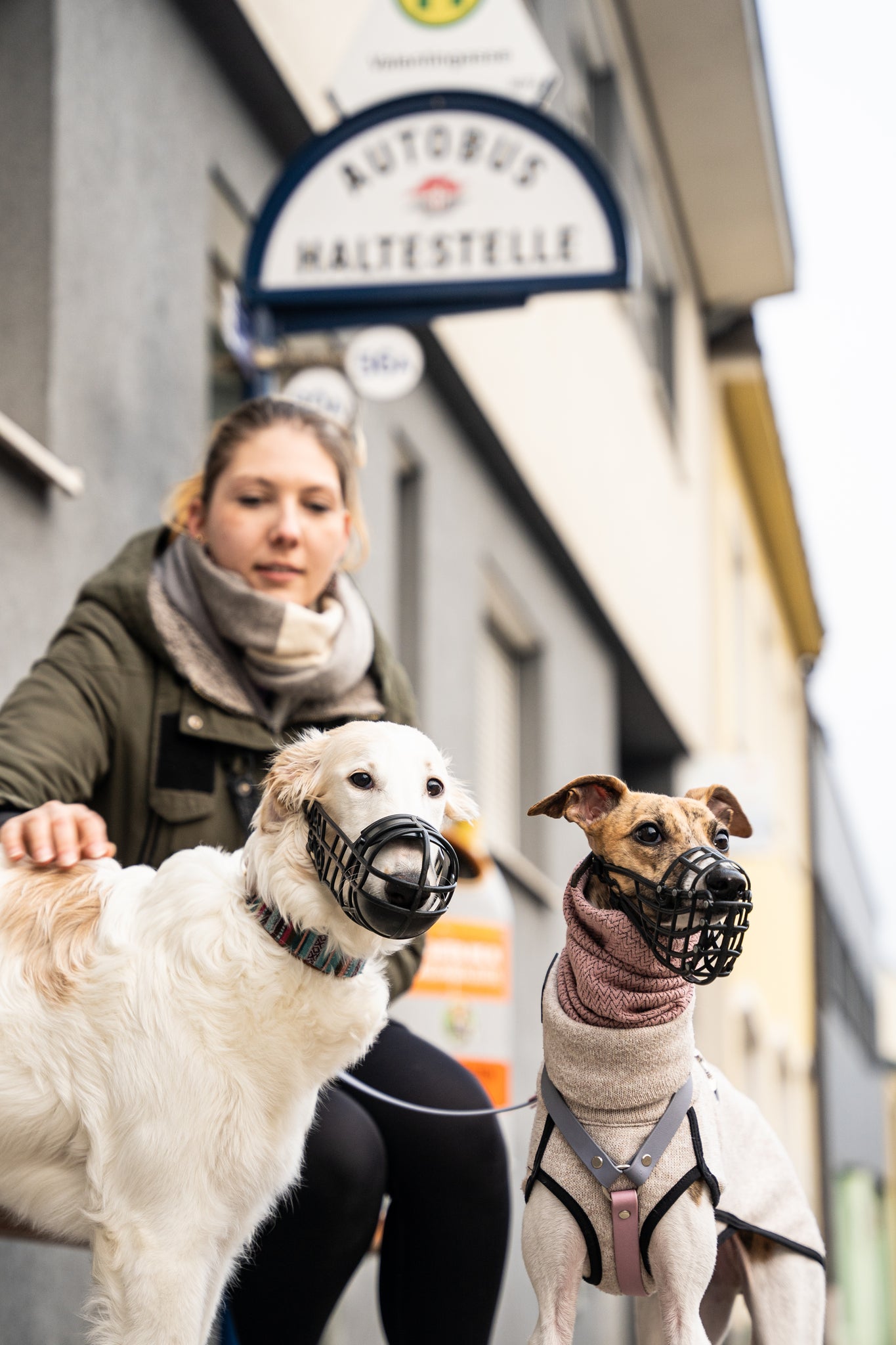 Dieses Foto zeigt einen Hund mit einem Maulkorb. Es ist teil von dem Blogbeitrag 'Ein Plädoyer für den Maulkorb'. Das Halsband und die Leine ist von PAWSOME Hundzubehör.